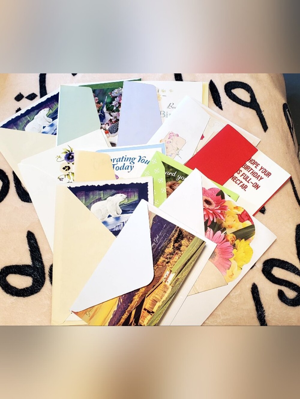 Greeting Card Bundle.